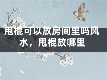甩棍可以放房间里吗风水，甩棍放哪里