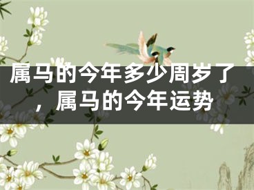 属马的今年多少周岁了，属马的今年运势