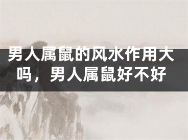 男人属鼠的风水作用大吗，男人属鼠好不好