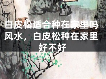 白皮松适合种在家里吗风水，白皮松种在家里好不好