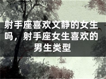 射手座喜欢文静的女生吗，射手座女生喜欢的男生类型