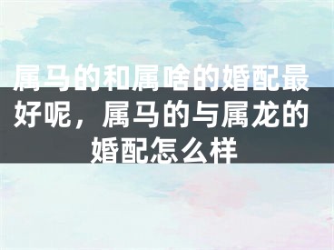 属马的和属啥的婚配最好呢，属马的与属龙的婚配怎么样