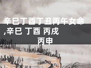 辛巳丁酉丁丑丙午女命,辛巳 丁酉 丙戌 丙申