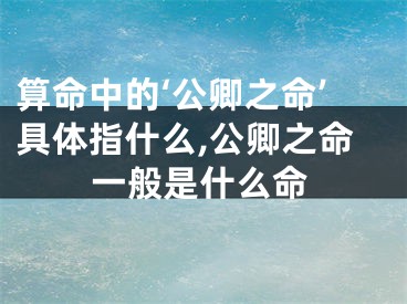 算命中的‘公卿之命’具体指什么,公卿之命一般是什么命