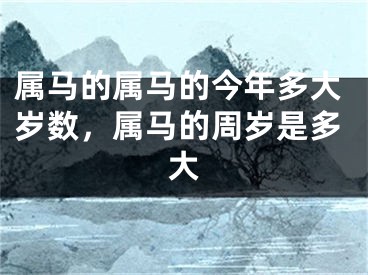 属马的属马的今年多大岁数，属马的周岁是多大