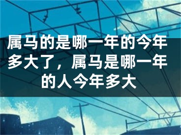 属马的是哪一年的今年多大了，属马是哪一年的人今年多大