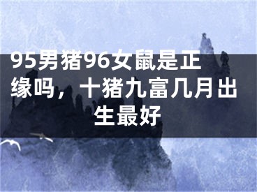 95男猪96女鼠是正缘吗，十猪九富几月出生最好