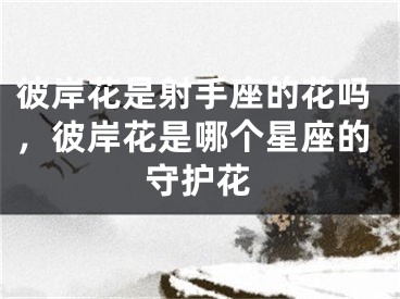 彼岸花是射手座的花吗，彼岸花是哪个星座的守护花