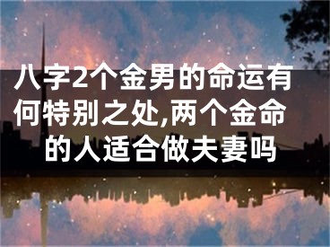 八字2个金男的命运有何特别之处,两个金命的人适合做夫妻吗