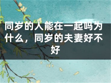 同岁的人能在一起吗为什么,同岁的夫妻好不好