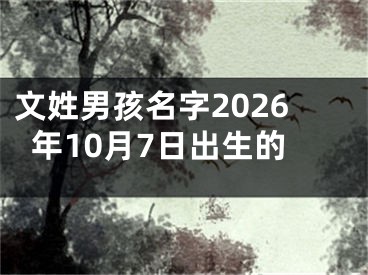 文姓男孩名字2026年10月7日出生的