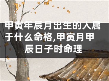 甲寅年辰月出生的人属于什么命格,甲寅月甲辰日子时命理