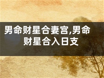 男命财星合妻宫,男命财星合入日支