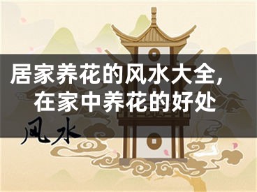 居家养花的风水大全,在家中养花的好处