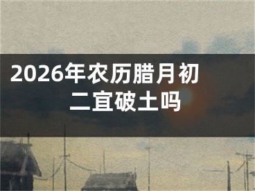 2026年农历腊月初二宜破土吗