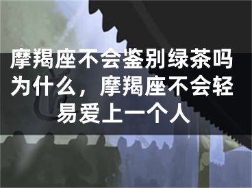 摩羯座不会鉴别绿茶吗为什么，摩羯座不会轻易爱上一个人