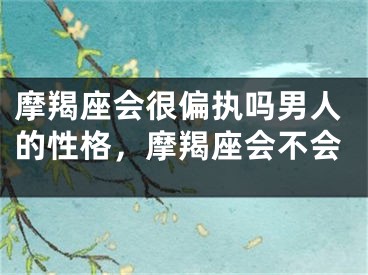 摩羯座会很偏执吗男人的性格，摩羯座会不会