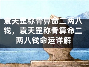 袁天罡称骨算命二两八钱，袁天罡称骨算命二两八钱命运详解