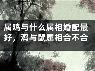 属鸡与什么属相婚配最好，鸡与鼠属相合不合