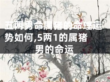 五两男命属猪的命理运势如何,5两1的属猪男的命运