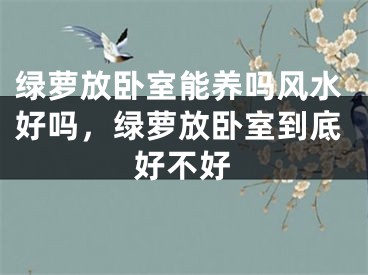 绿萝放卧室能养吗风水好吗，绿萝放卧室到底好不好