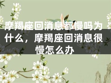 摩羯座回消息都慢吗为什么,摩羯座回消息很慢怎么办