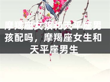 摩羯座女孩和天平座男孩配吗,摩羯座女生和天平座男生