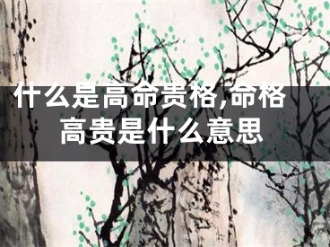什么是高命贵格,命格高贵是什么意思