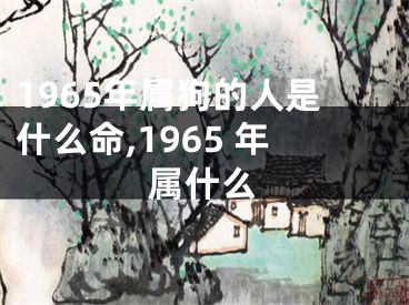 1965年属狗的人是什么命,1965 年属什么