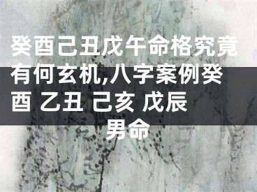 癸酉己丑戊午命格究竟有何玄机,八字案例癸酉 乙丑 己亥 戊辰男命