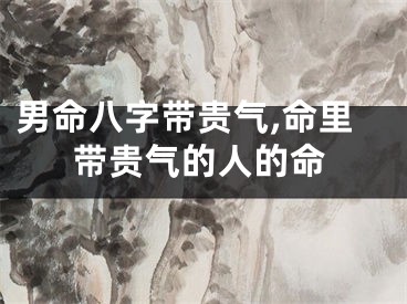 男命八字带贵气,命里带贵气的人的命