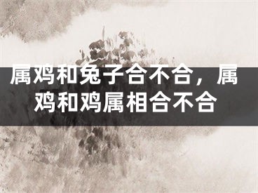 属鸡和兔子合不合，属鸡和鸡属相合不合