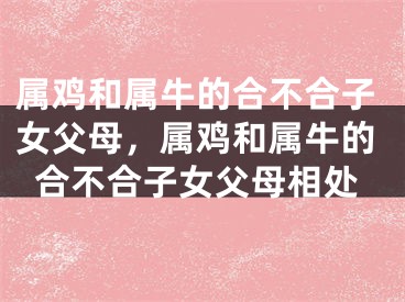 属鸡和属牛的合不合子女父母，属鸡和属牛的合不合子女父母相处