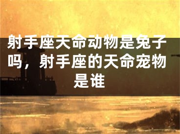 射手座天命动物是兔子吗,射手座的天命宠物是谁