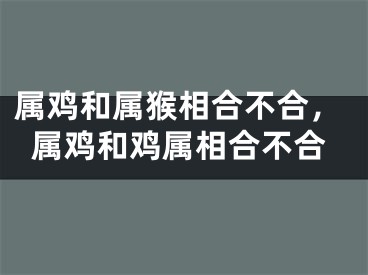 属鸡和属猴相合不合，属鸡和鸡属相合不合