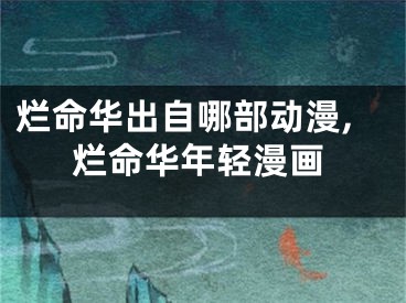 烂命华出自哪部动漫,烂命华年轻漫画
