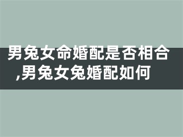 男兔女命婚配是否相合,男兔女兔婚配如何