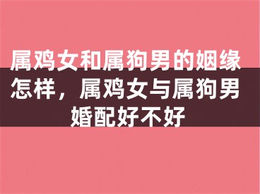 属鸡女和属狗男的姻缘怎样，属鸡女与属狗男婚配好不好
