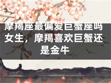 摩羯座最偏爱巨蟹座吗女生，摩羯喜欢巨蟹还是金牛