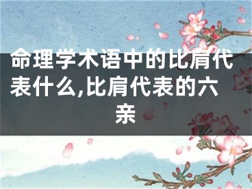 命理学术语中的比肩代表什么,比肩代表的六亲