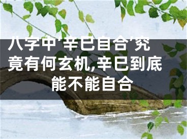 八字中‘辛巳自合’究竟有何玄机,辛巳到底能不能自合