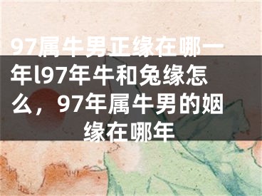 97属牛男正缘在哪一年l97年牛和兔缘怎么，97年属牛男的姻缘在哪年