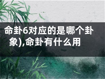 命卦6对应的是哪个卦象),命卦有什么用