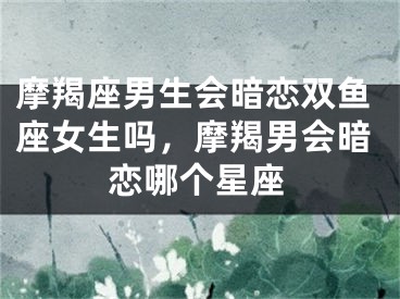 摩羯座男生会暗恋双鱼座女生吗，摩羯男会暗恋哪个星座