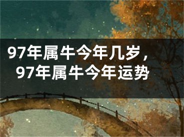 97年属牛今年几岁，97年属牛今年运势