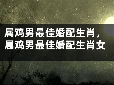属鸡男最佳婚配生肖，属鸡男最佳婚配生肖女