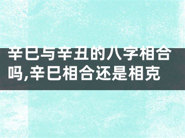 辛巳与辛丑的八字相合吗,辛巳相合还是相克