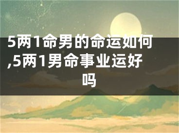 5两1命男的命运如何,5两1男命事业运好吗