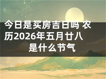 今日是买房吉日吗 农历2026年五月廿八是什么节气