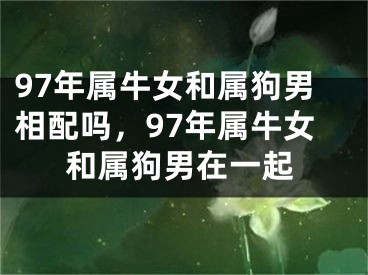 97年属牛女和属狗男相配吗，97年属牛女和属狗男在一起